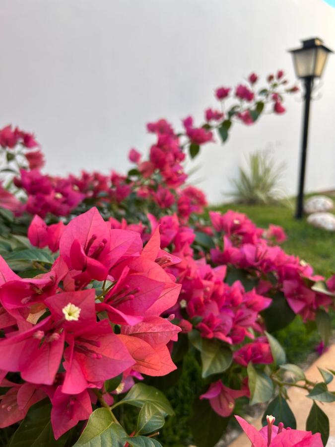 Casa Olimpia Sp Villa Екстериор снимка